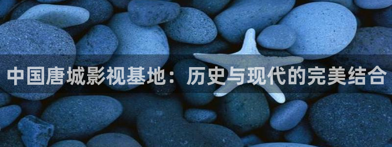 保利电影下载