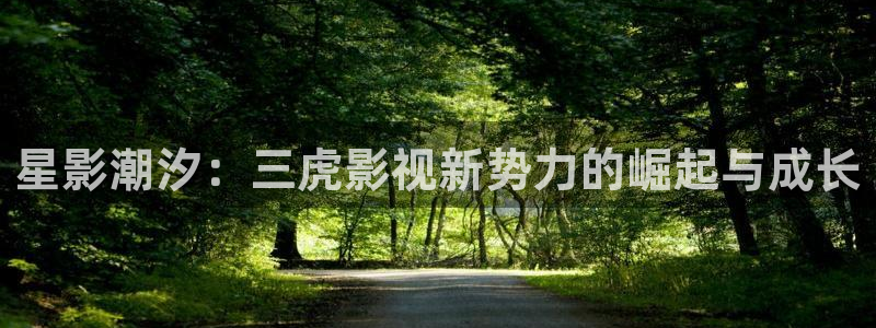 保利影城app：星影潮汐：三虎影视新势力的崛起与成长