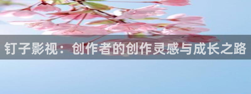 成都保利国际影城：钉子影视：创作者的创作灵感与成长之路