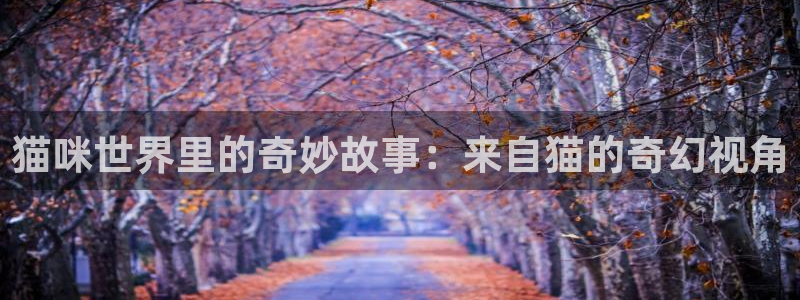 保利万和时光影城：猫咪世界里的奇妙故事：来自猫的奇幻视角