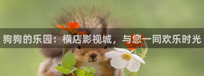 常州保利影城今日影讯：狗狗的乐园：横店影视城，与您一同欢乐时光